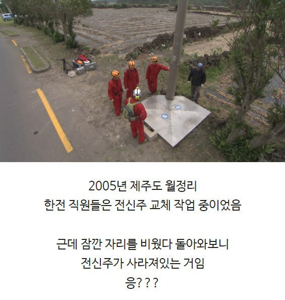 전신주 교체하다 발견한 역대급 동굴과 희귀종 물고기